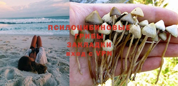 a pvp Армянск